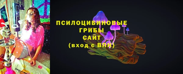 a pvp Алзамай