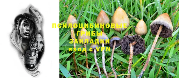 a pvp Алзамай