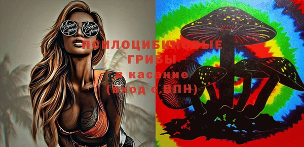 не бодяженный Абаза