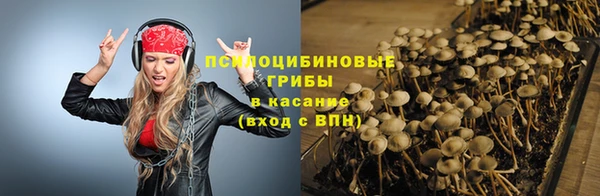 a pvp Алзамай